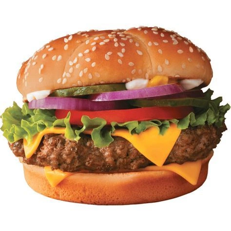 types of burgers
